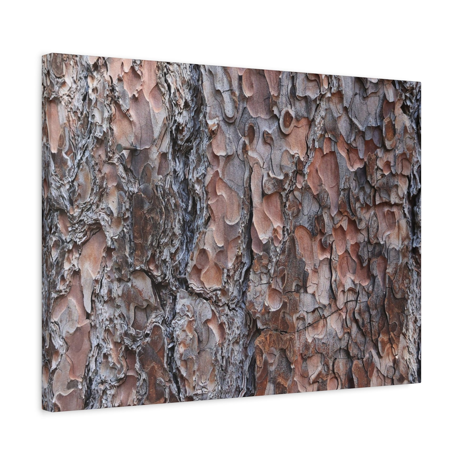 Woodland Armor - Unique Frameless Canvas Wall Art - Art By Earth