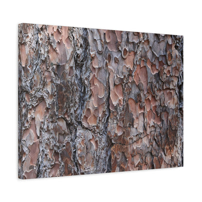 Woodland Armor - Unique Frameless Canvas Wall Art - Art By Earth
