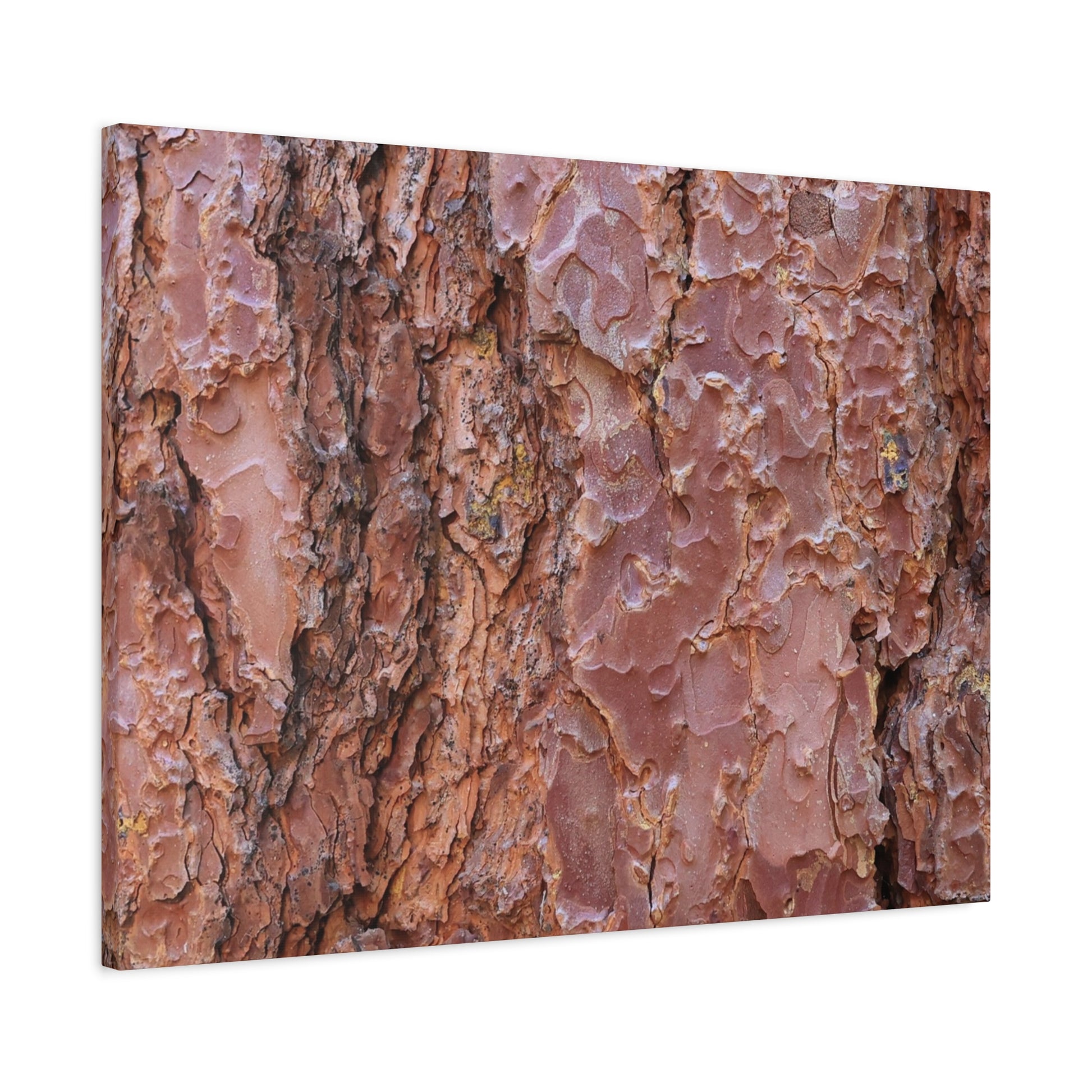 Rusty Textures - Unique Frameless Canvas Wall Art - Art By Earth
