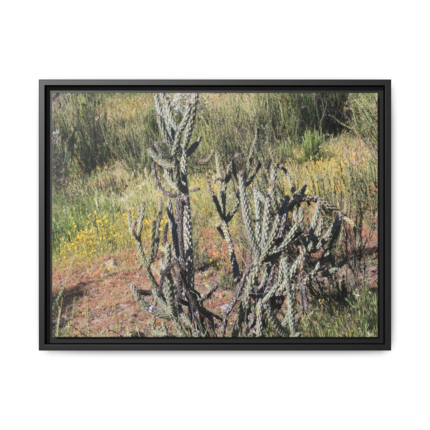 Wildflower Meadow - Unique Stretched Canvas Wall Art - Art By Earth