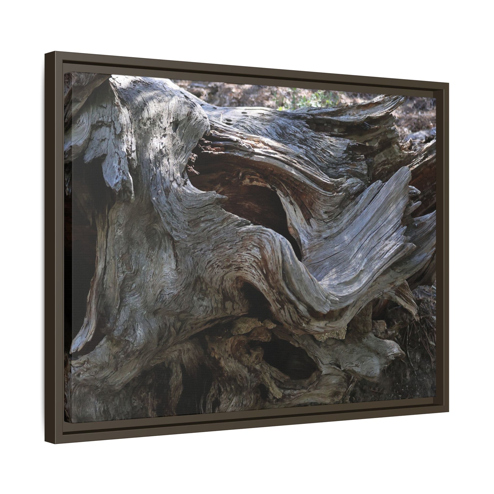 Twisted Memories - Unique Stretched Canvas Wall Art - Art By Earth