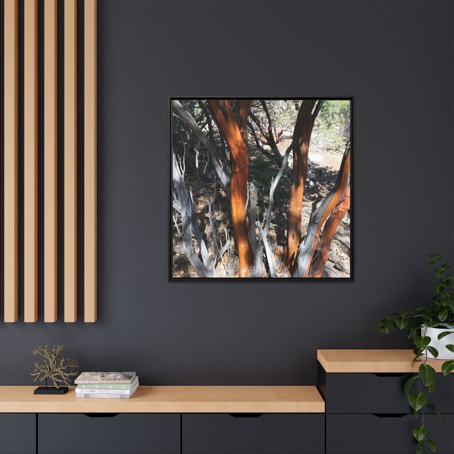Eucalyptus Grove - Unique Stretched Canvas Wall Art