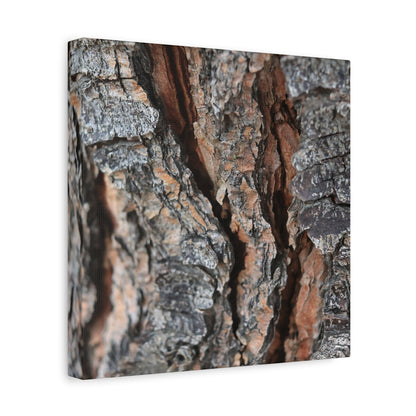 Rough Whispers - Unique Frameless Canvas Wall Art - Art By Earth