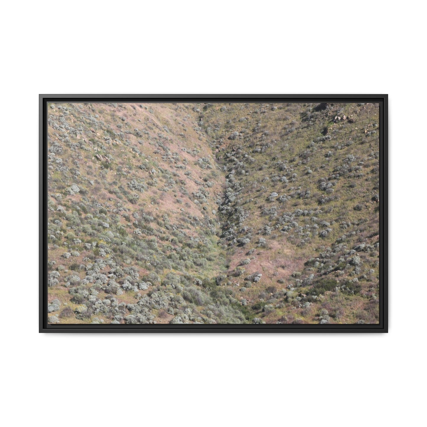 Mountain Slope with Desert Vegetation - Unique Stretched Canvas Wall Art - Art By Earth