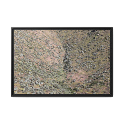 Mountain Slope with Desert Vegetation - Unique Stretched Canvas Wall Art - Art By Earth