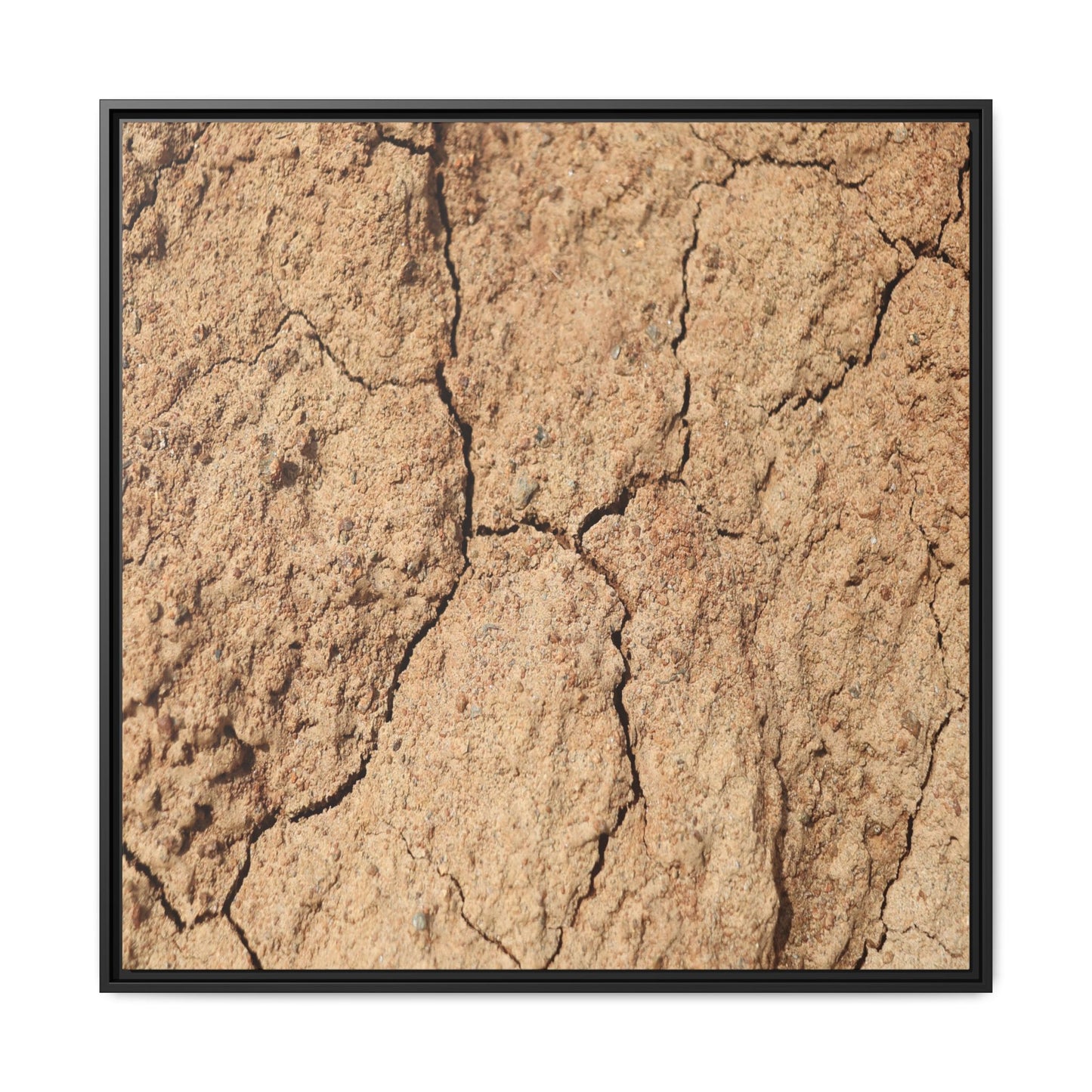 Parched Land - Unique Stretched Canvas Wall Art - Art By Earth