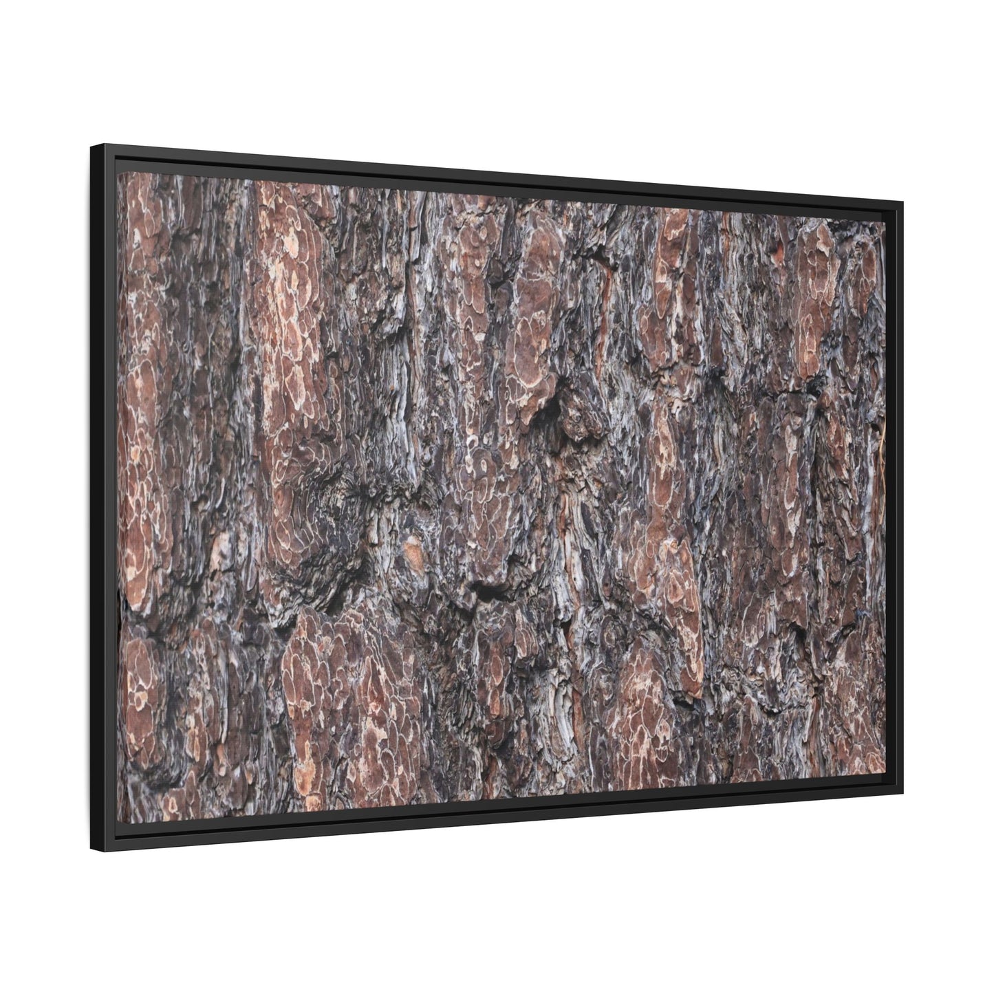 Echoes of Wood - Unique Stretched Canvas Wall Art