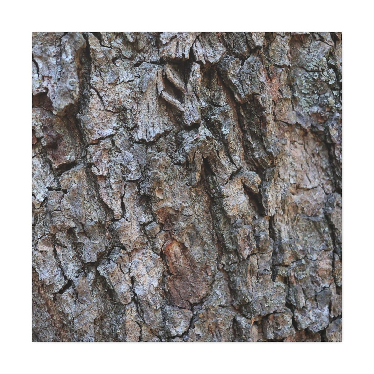 Rugged Canvas - Unique Frameless Canvas Wall Art - Art By Earth