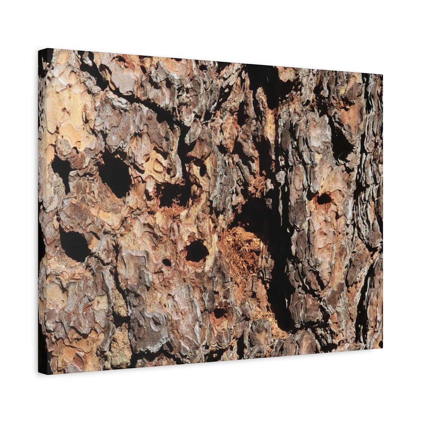 Tree Bark Mosaic - Unique Frameless Canvas Wall Art - Art By Earth