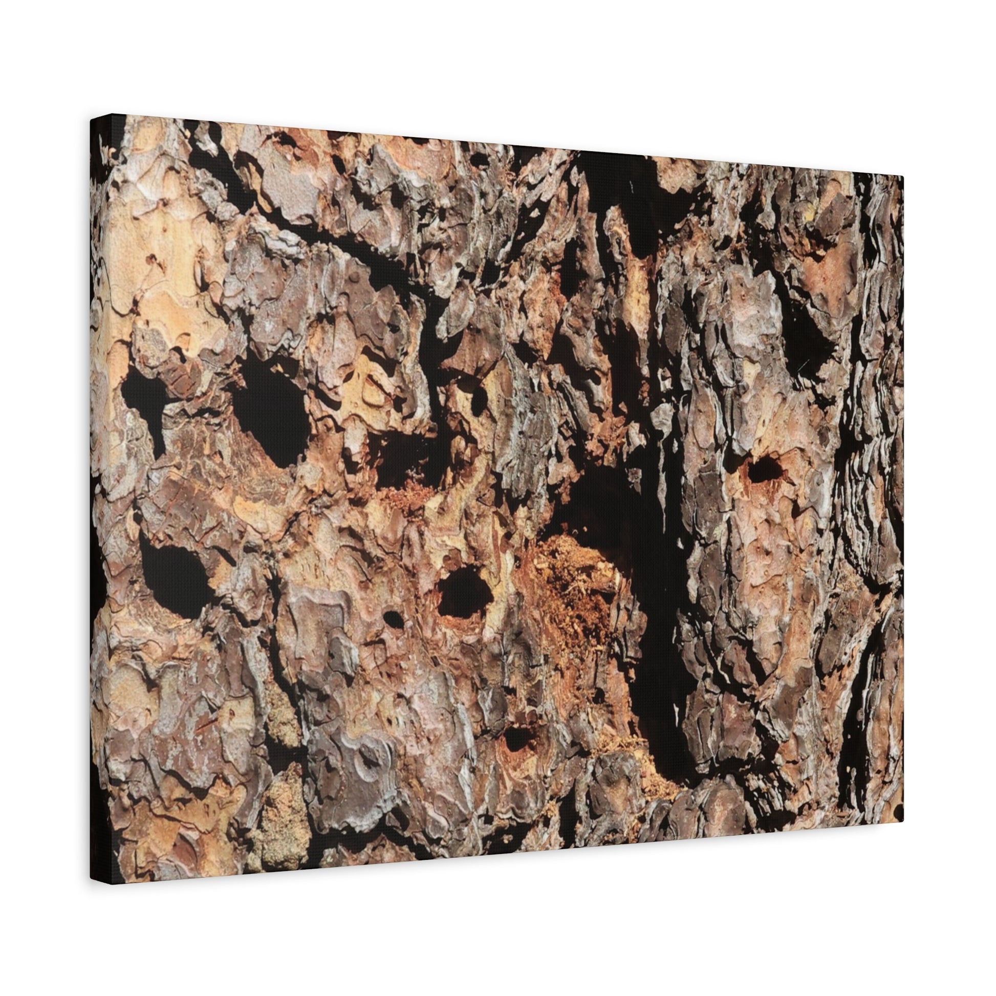Tree Bark Mosaic - Unique Frameless Canvas Wall Art - Art By Earth