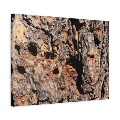 Tree Bark Mosaic - Unique Frameless Canvas Wall Art - Art By Earth