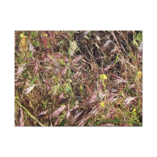 Autumn Wildflower Meadow in Transition - Unique Frameless Canvas Wall Art - Art By Earth
