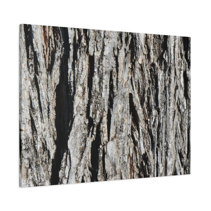 Bark Layers in Monochrome - Unique Frameless Canvas Wall Art - Art By Earth