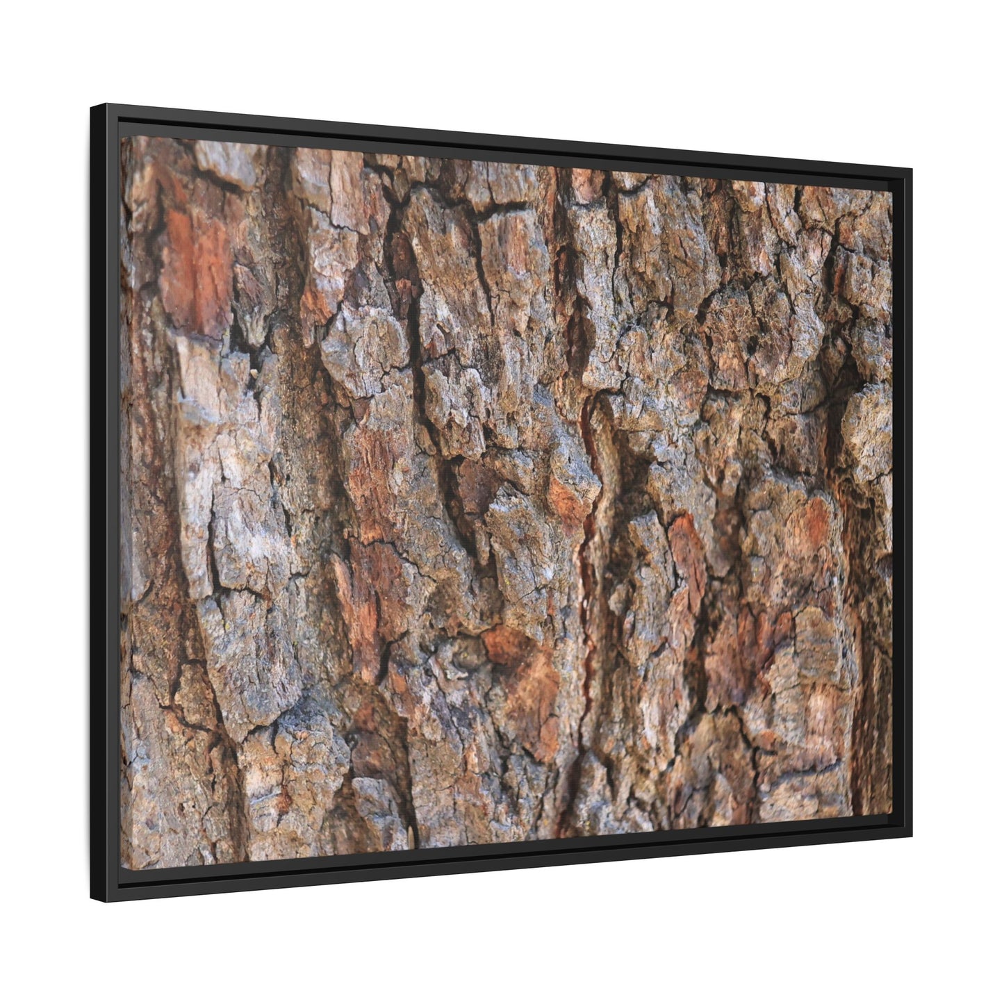 Tree's Timeworn Tale - Unique Stretched Canvas Wall Art - Art By Earth