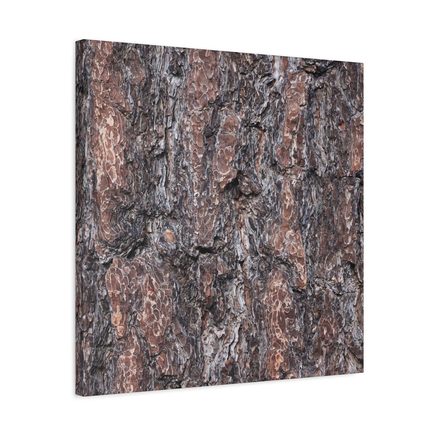 Textured Whispers of an Ancient Tree - Unique Frameless Canvas Wall Art