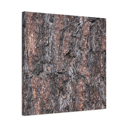 Textured Whispers of an Ancient Tree - Unique Frameless Canvas Wall Art