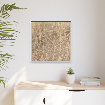 Golden Stalks - Unique Stretched Canvas Wall Art - Art By Earth