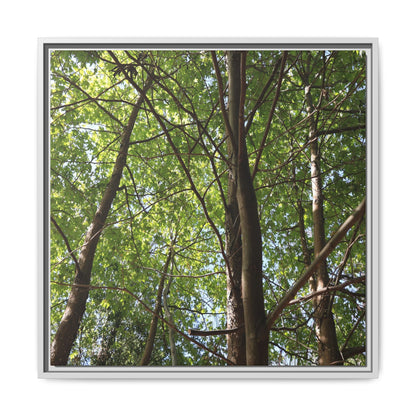 Forest Branches - Unique Stretched Canvas Wall Art