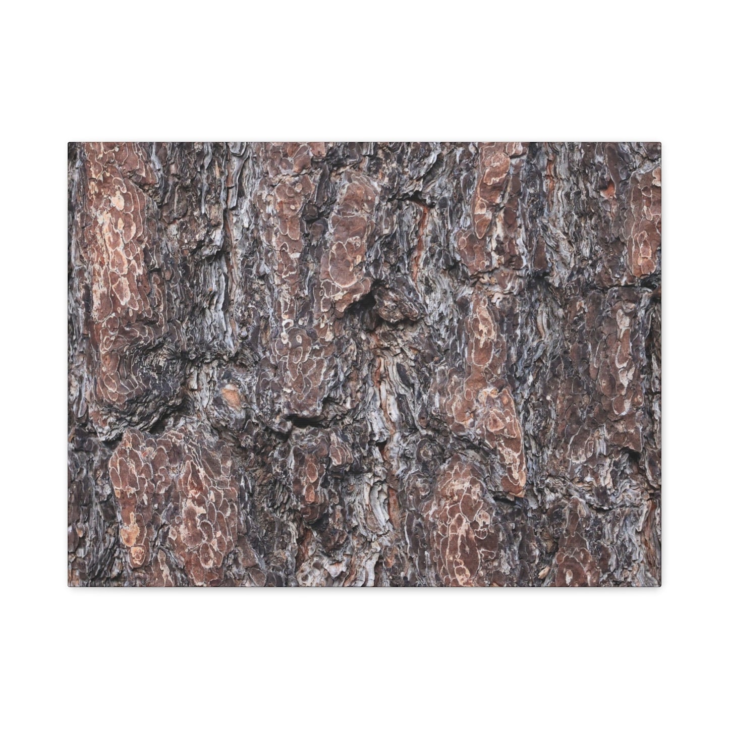 Textured Whispers of an Ancient Tree - Unique Frameless Canvas Wall Art