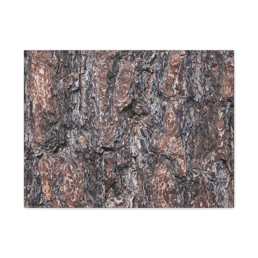 Textured Whispers of an Ancient Tree - Unique Frameless Canvas Wall Art