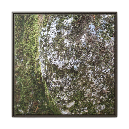 Lichen Landscape - Unique Stretched Canvas Wall Art - Art By Earth