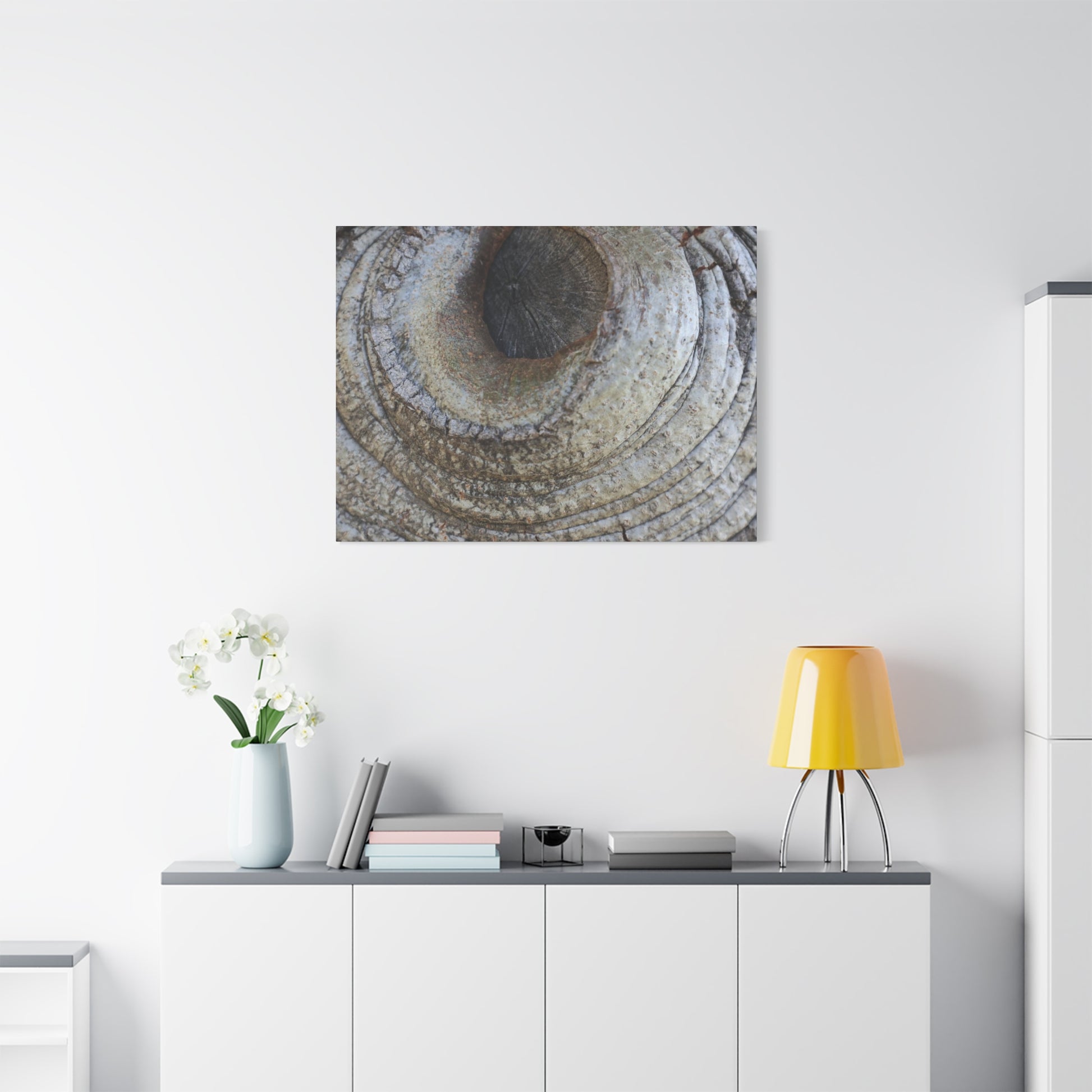 Bark's Eye - Unique Frameless Canvas Wall Art - Art By Earth