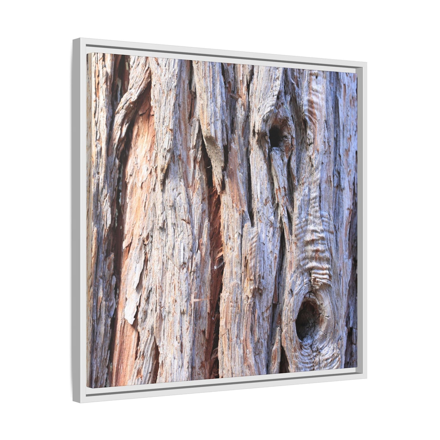 Nature's Grain - Unique Stretched Canvas Wall Art - Art By Earth