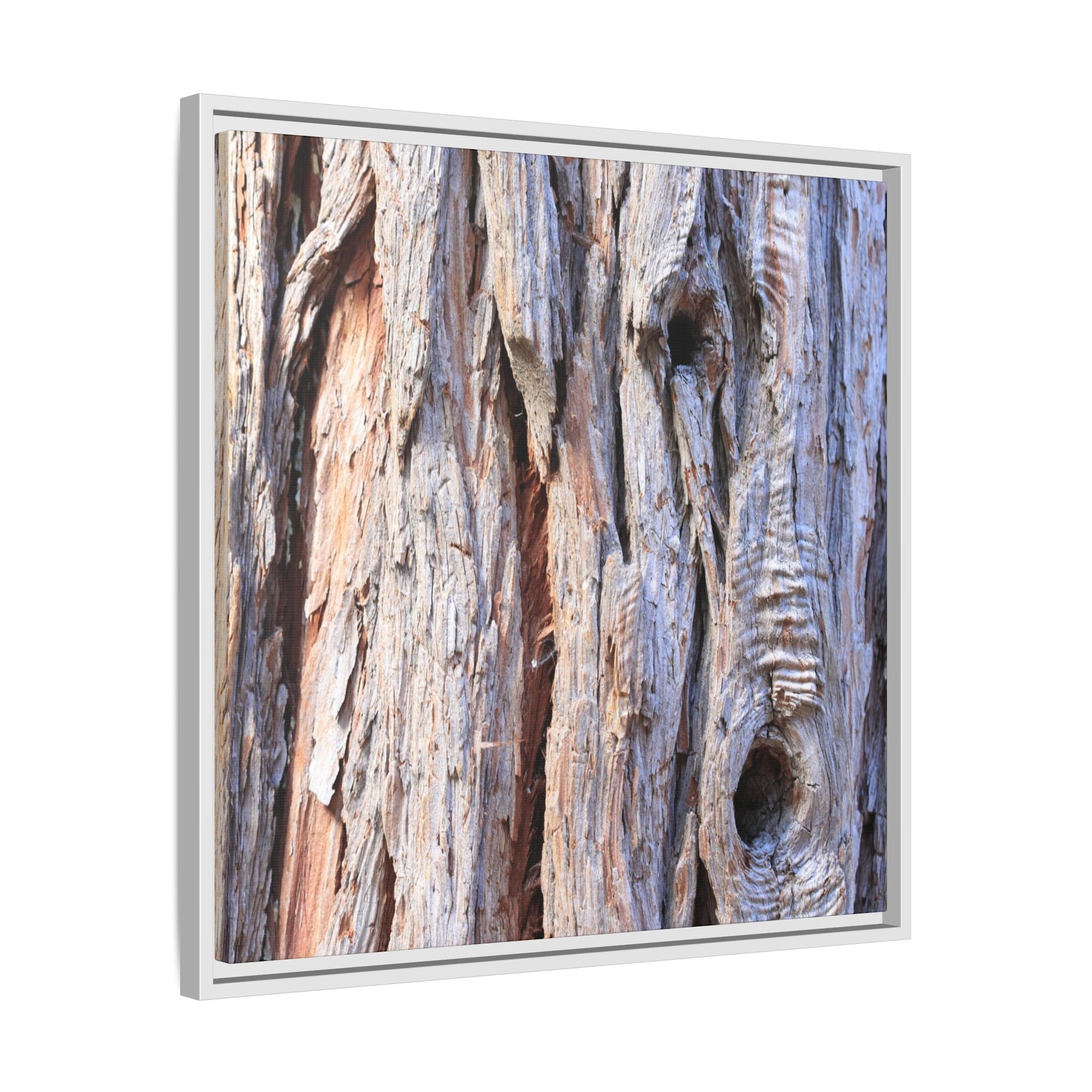 Nature's Grain - Unique Stretched Canvas Wall Art - Art By Earth