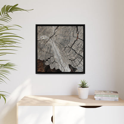 Time's Signature - Unique Stretched Canvas Wall Art - Art By Earth