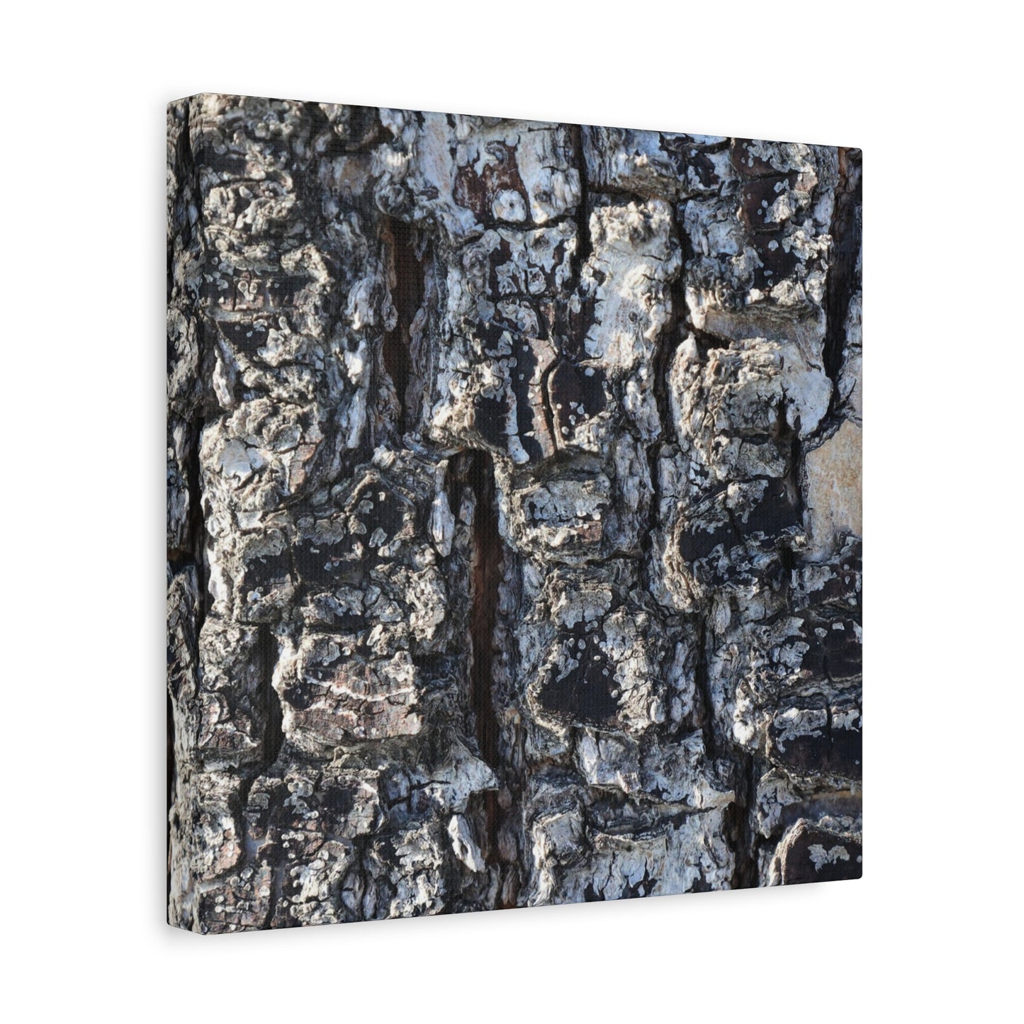 Textured Whispers of the Ancient Tree - Unique Frameless Canvas Wall Art - Art By Earth