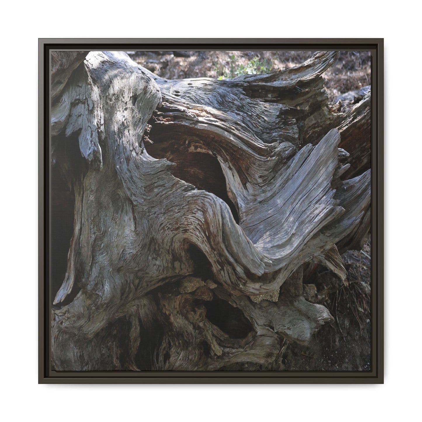 Twisted Memories - Unique Stretched Canvas Wall Art - Art By Earth