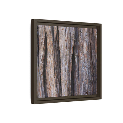 Ancient Grains - Unique Stretched Canvas Wall Art - Art By Earth