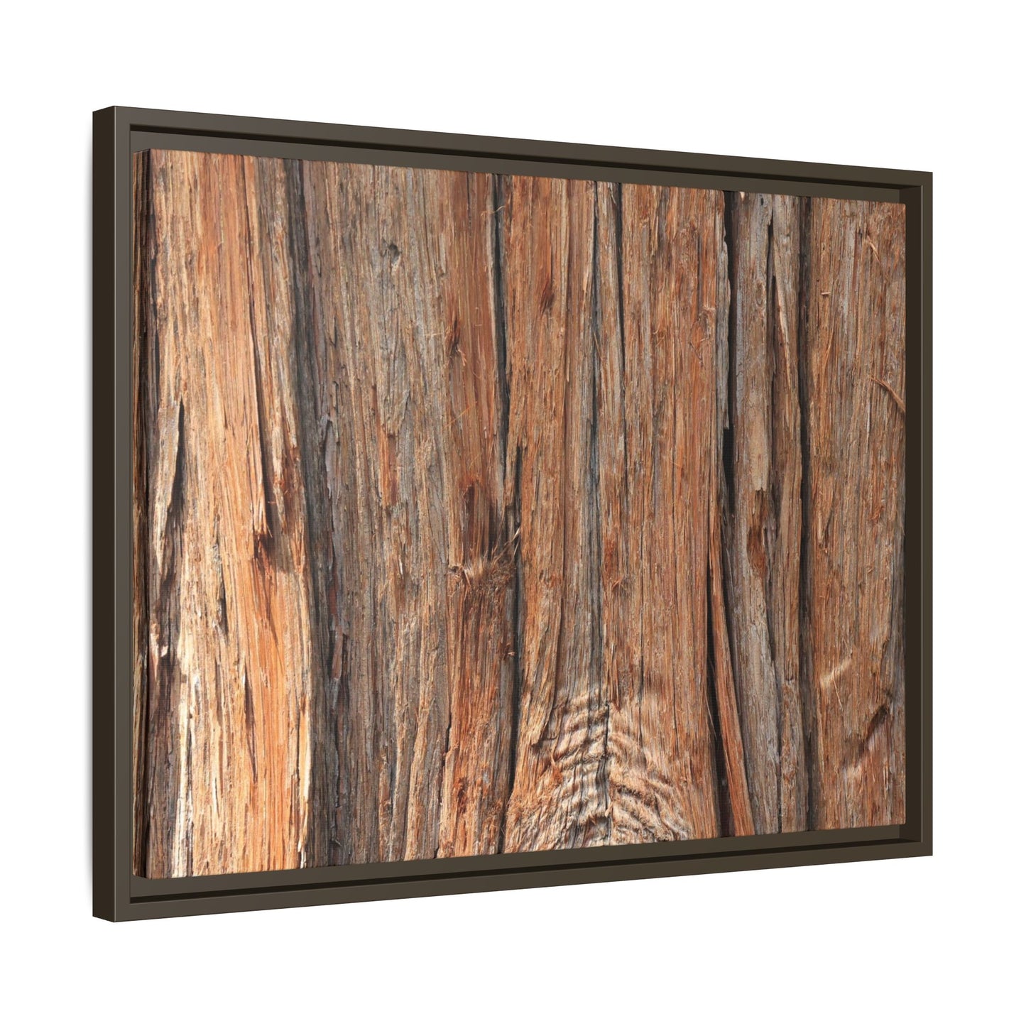 Echoes of Timber - Unique Stretched Canvas Wall Art - Art By Earth