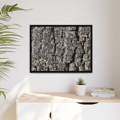 Bark Study in Gray - Unique Stretched Canvas Wall Art - Art By Earth