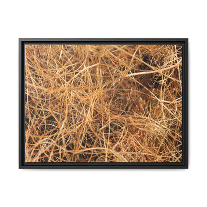 Dried Grass - Unique Stretched Canvas Wall Art - Art By Earth