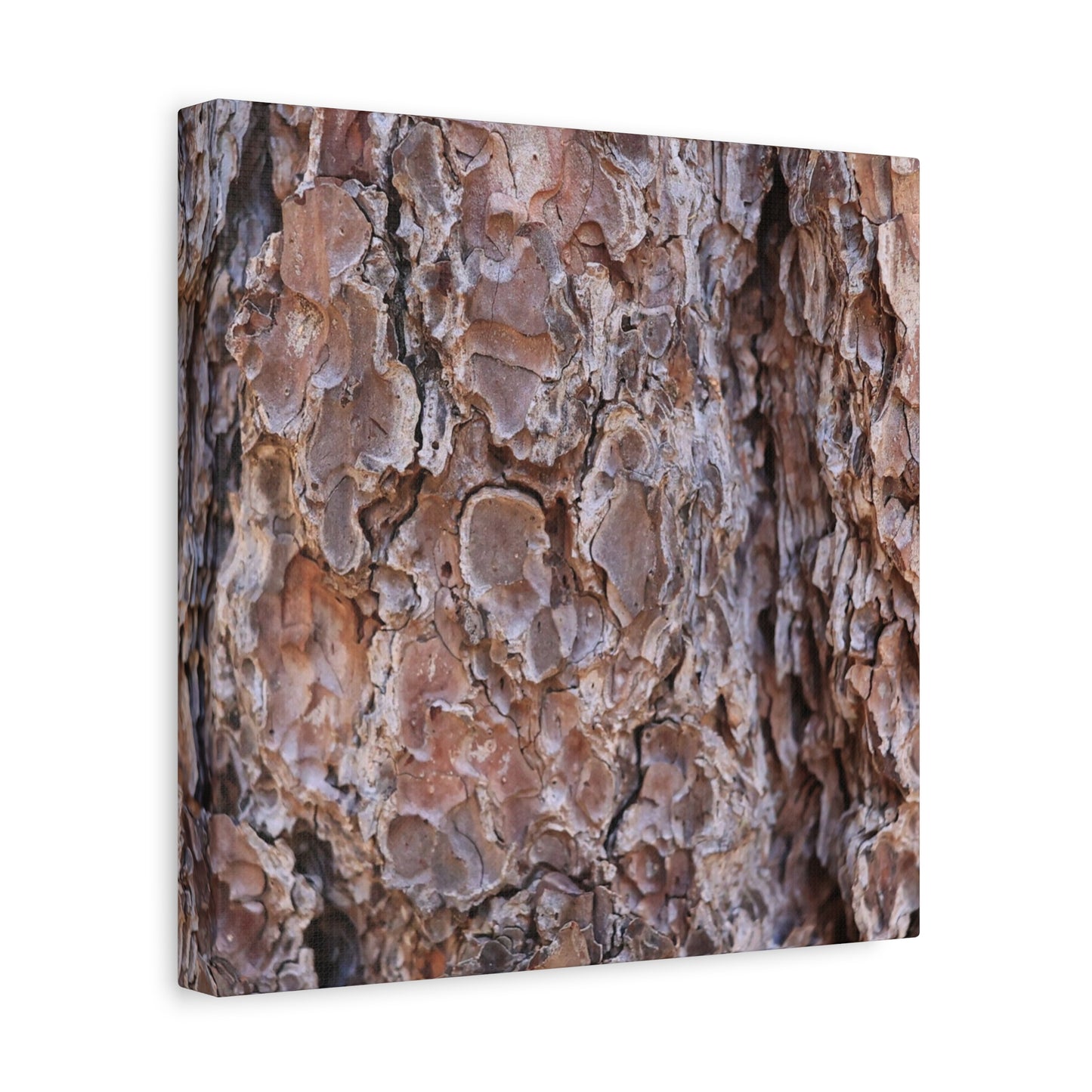 Rugged Bark Landscape - Unique Frameless Canvas Wall Art - Art By Earth