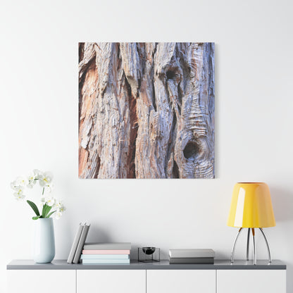 Aged Bark Surface - Unique Frameless Canvas Wall Art - Art By Earth