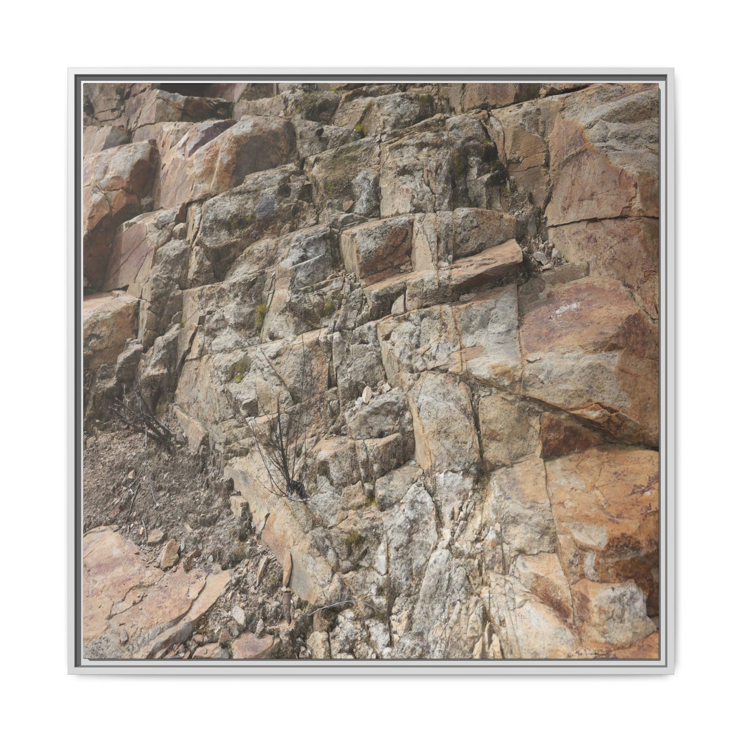 Stone's Silent Story - Unique Stretched Canvas Wall Art - Art By Earth