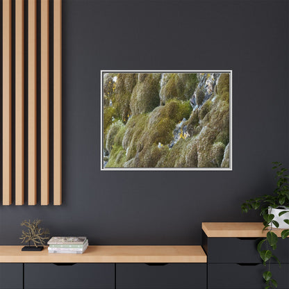 Moss Symphony - Unique Stretched Canvas Wall Art