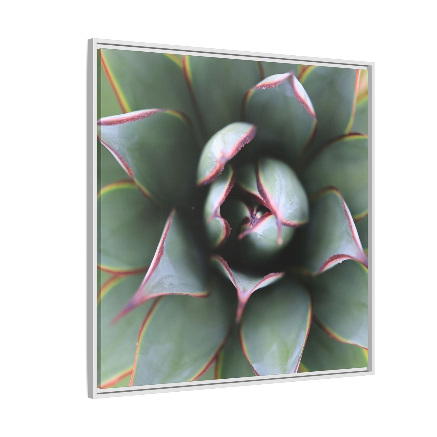 Spiky Elegance - Unique Stretched Canvas Wall Art - Art By Earth