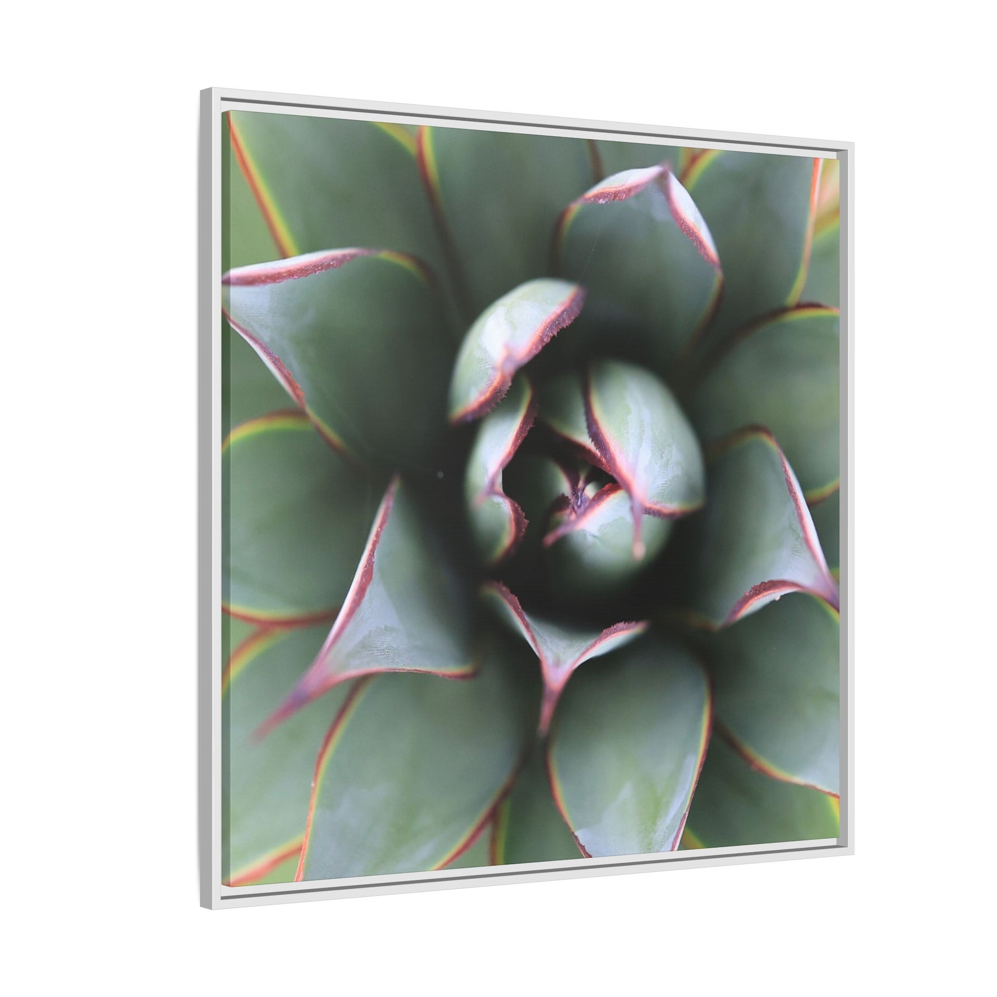 Spiky Elegance - Unique Stretched Canvas Wall Art - Art By Earth