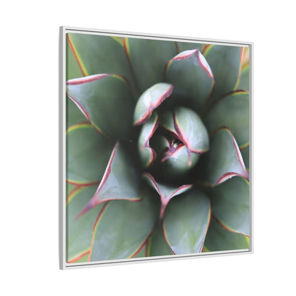 Spiky Elegance - Unique Stretched Canvas Wall Art - Art By Earth