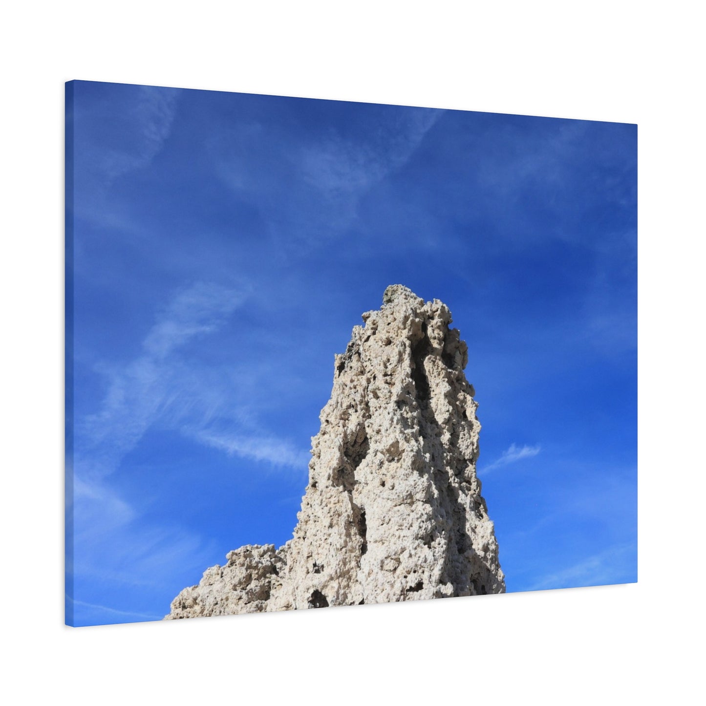 Reaching Skyward - Unique Frameless Canvas Wall Art