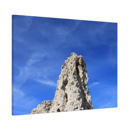 Reaching Skyward - Unique Frameless Canvas Wall Art
