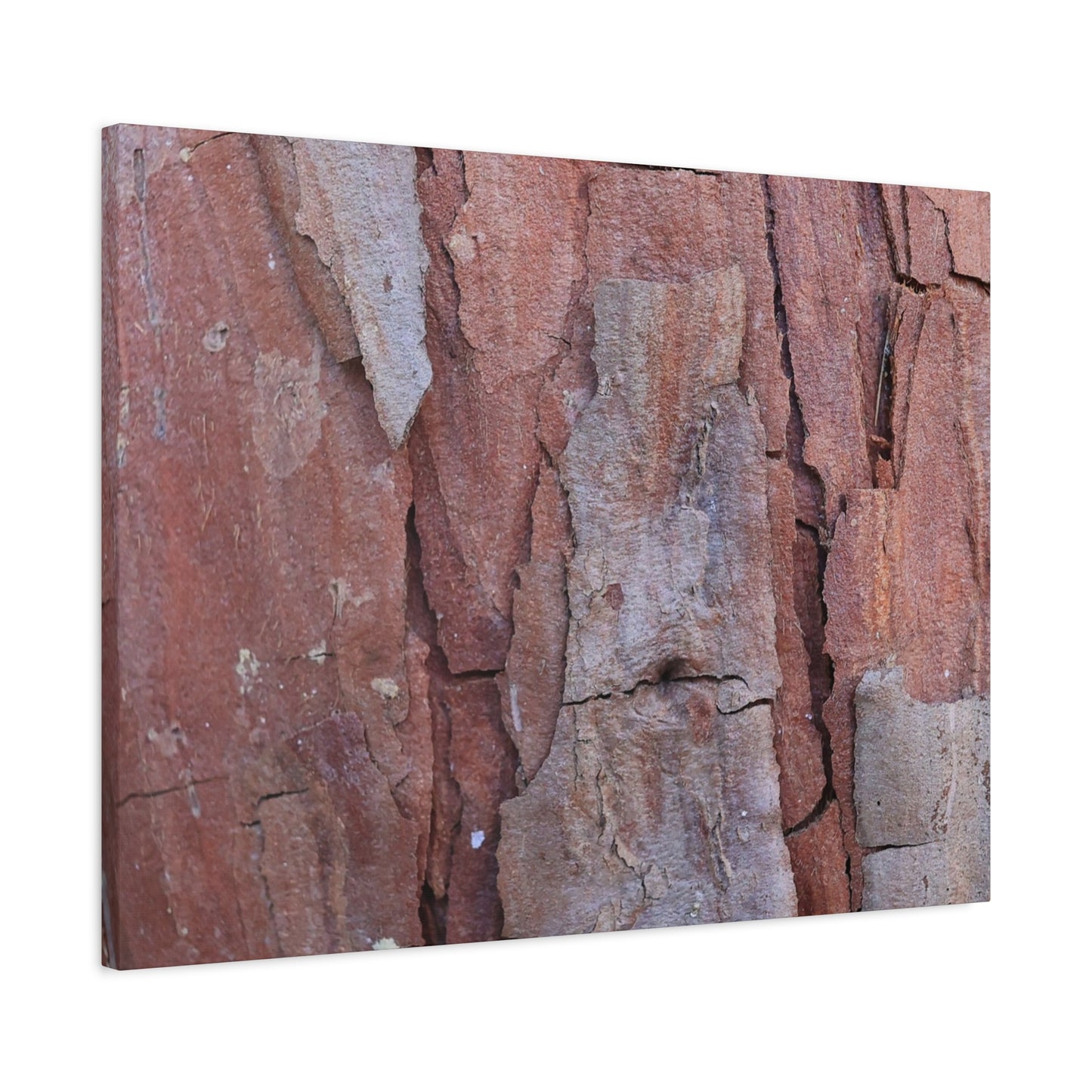 Fractal Rust - Unique Frameless Canvas Wall Art - Art By Earth