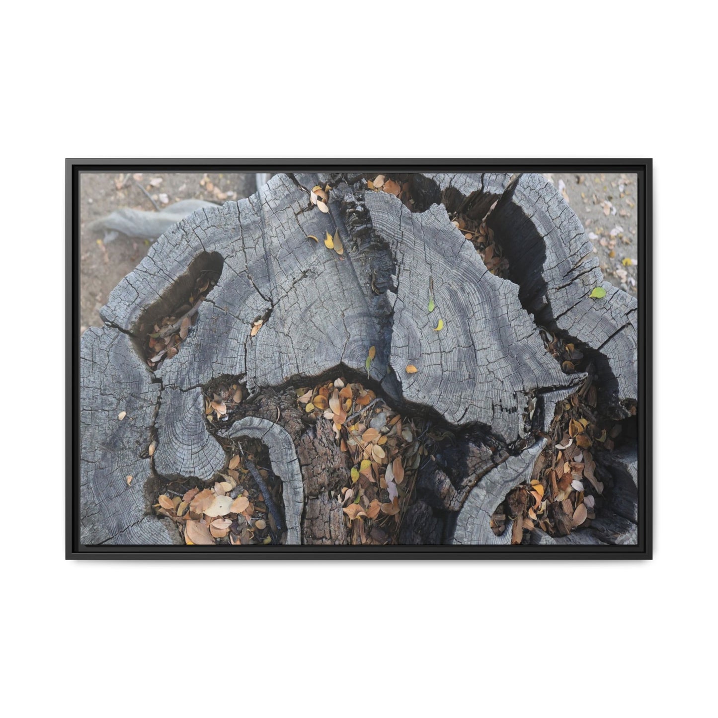 Time's Fractal Memory - Unique Stretched Canvas Wall Art - Art By Earth