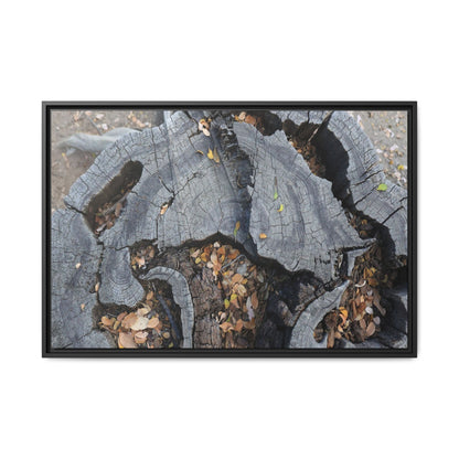 Time's Fractal Memory - Unique Stretched Canvas Wall Art - Art By Earth