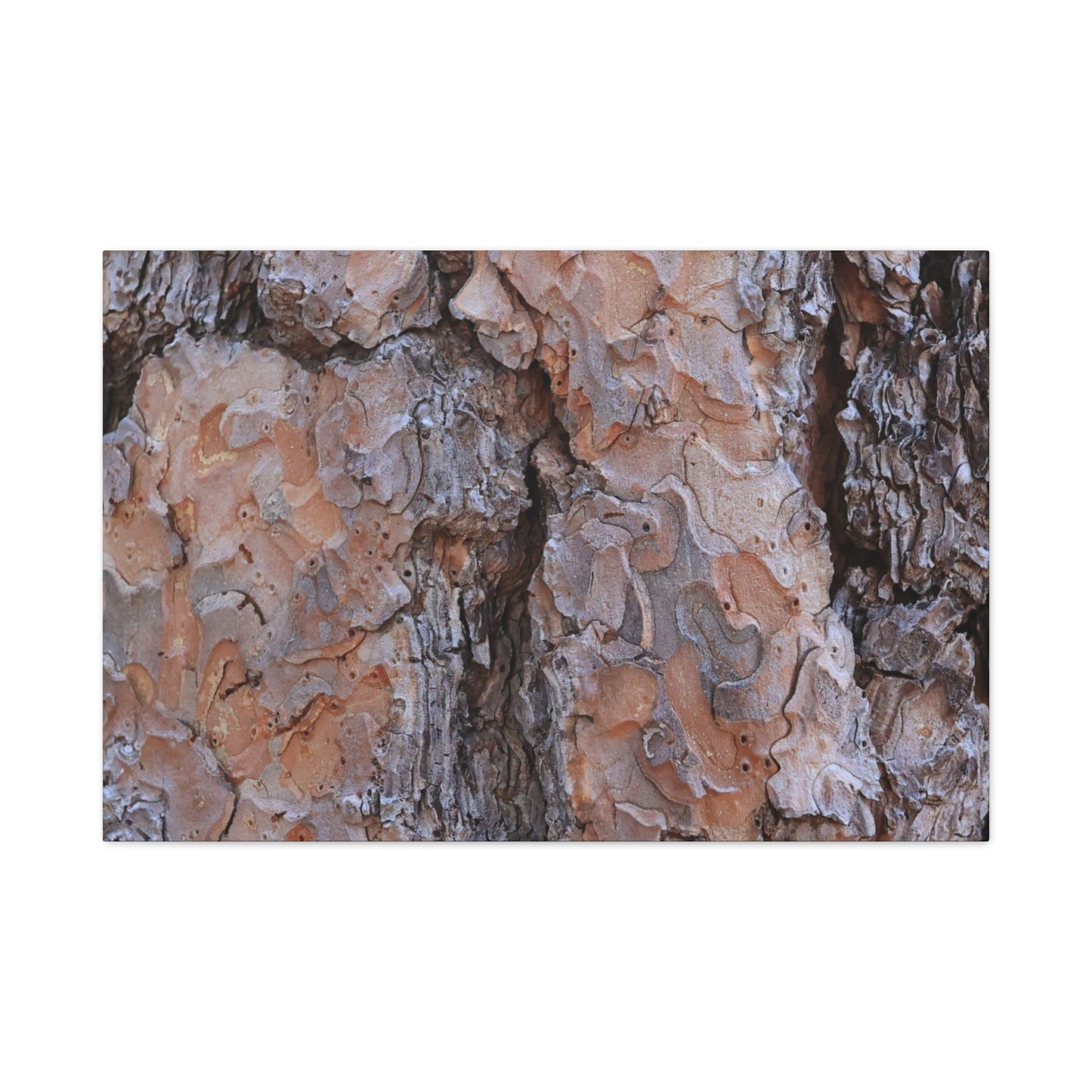 Arboreal Armor - Unique Frameless Canvas Wall Art - Art By Earth