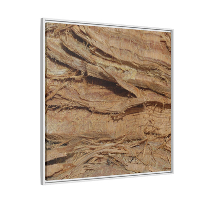 Splintered Bark - Unique Stretched Canvas Wall Art - Art By Earth
