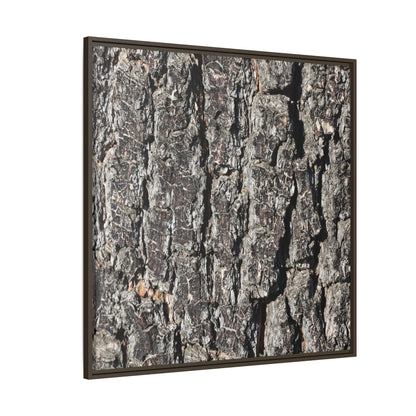 Bark Study in Gray - Unique Stretched Canvas Wall Art - Art By Earth